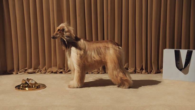 klarna - marketing 1